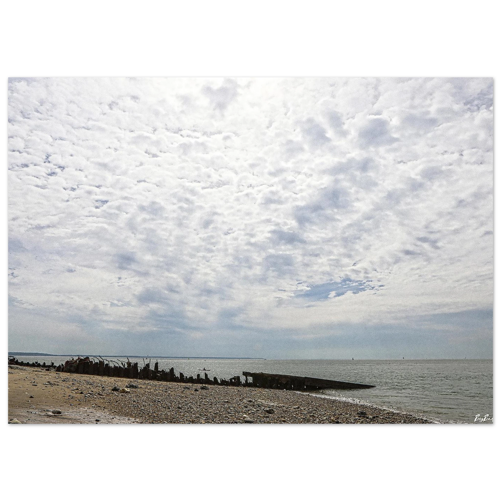 0e12679d-609f-4a4a-96d4-5a340cbd98eb