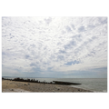 0e12679d-609f-4a4a-96d4-5a340cbd98eb