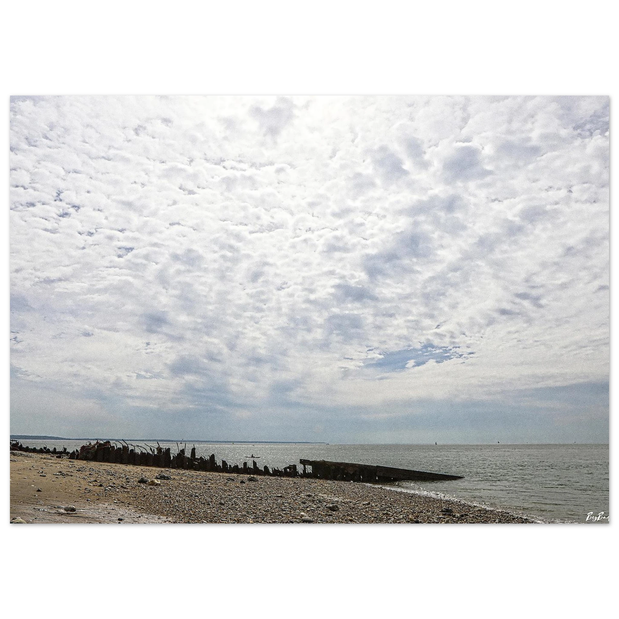 0e12679d-609f-4a4a-96d4-5a340cbd98eb