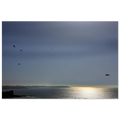 159e8640-9900-4162-9932-0e987a8b2dca