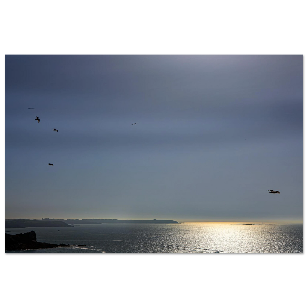 33f57b16-5ec3-4b53-98e9-4c5e65fb2852