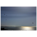 33f57b16-5ec3-4b53-98e9-4c5e65fb2852