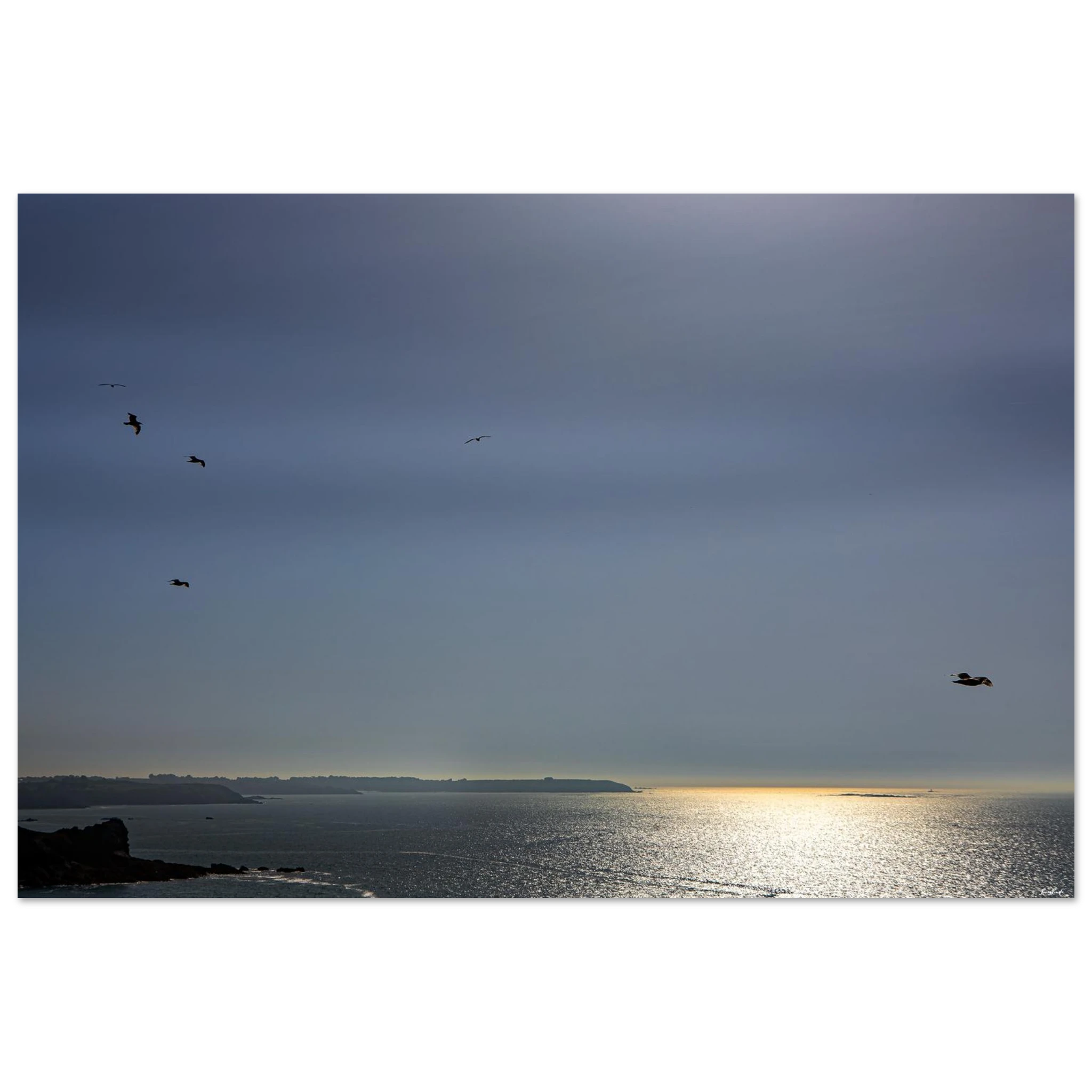 33f57b16-5ec3-4b53-98e9-4c5e65fb2852