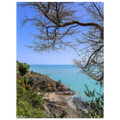 54f59788-c4f4-4926-8a37-e4b495a87095