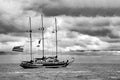 Le Breton des Mers