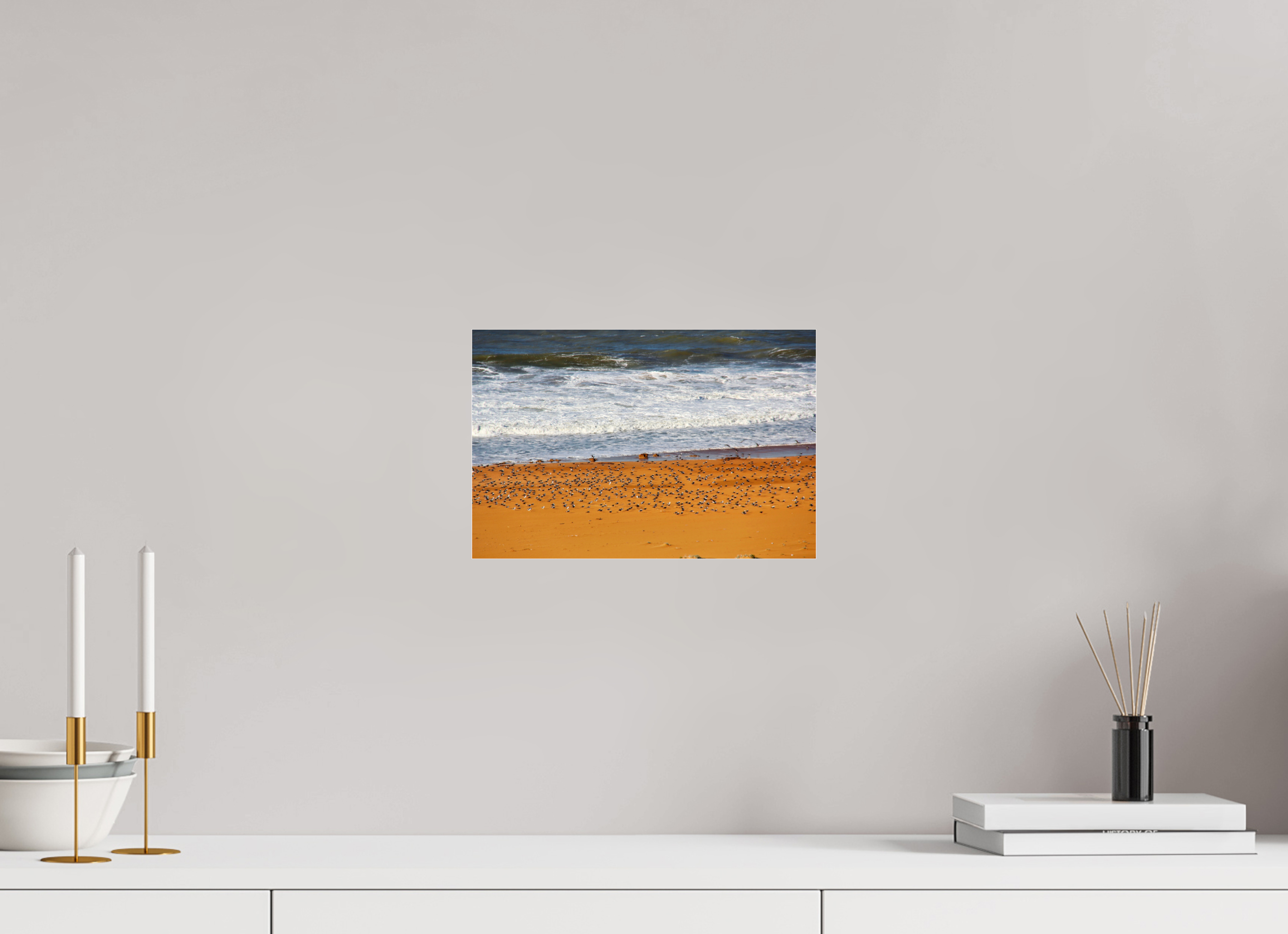 30 x 20 cm, Photo Print Under Acrylic Glass Chœur des Oiseaux de la Côte