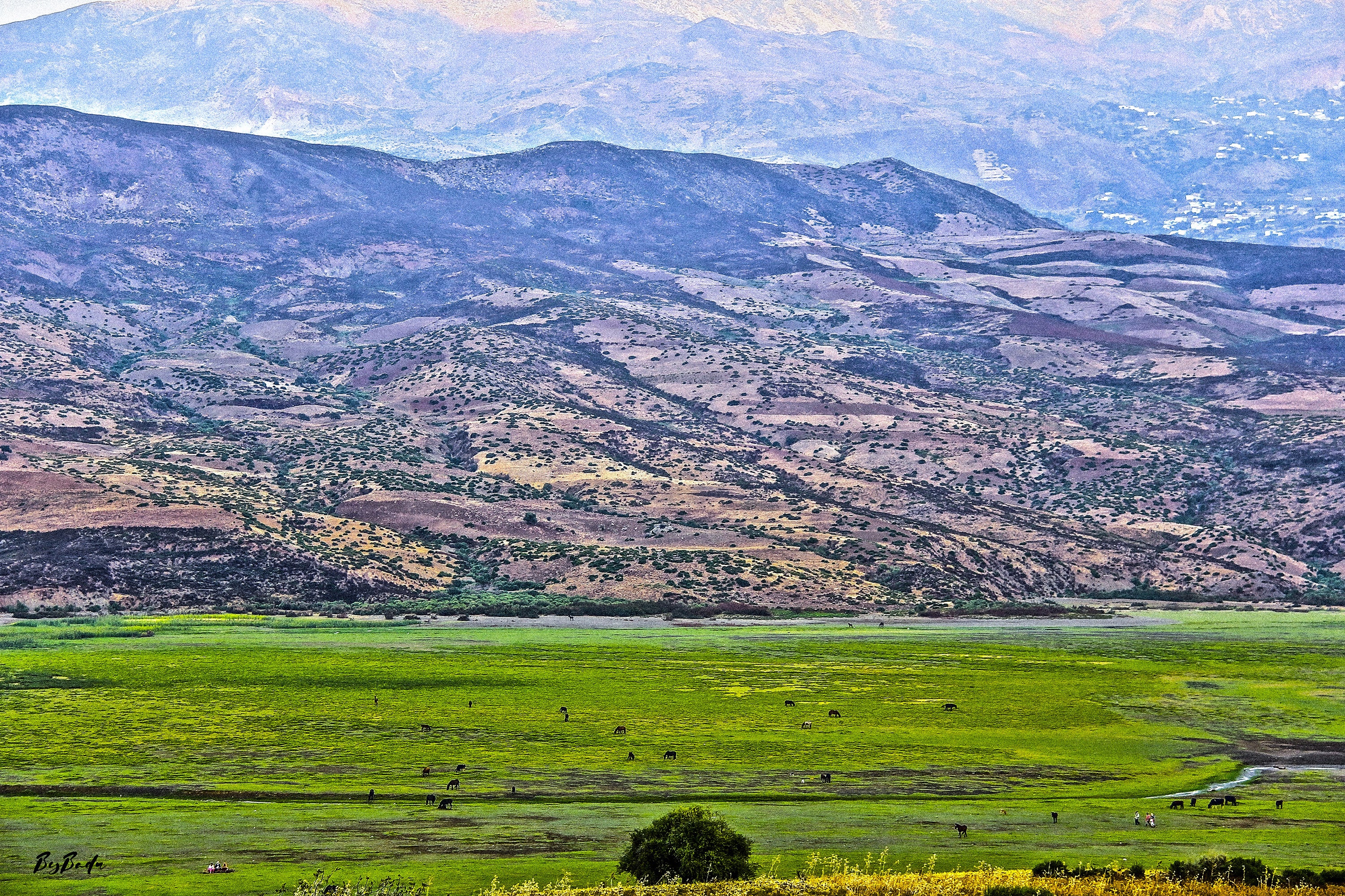 La Vallée Fertile