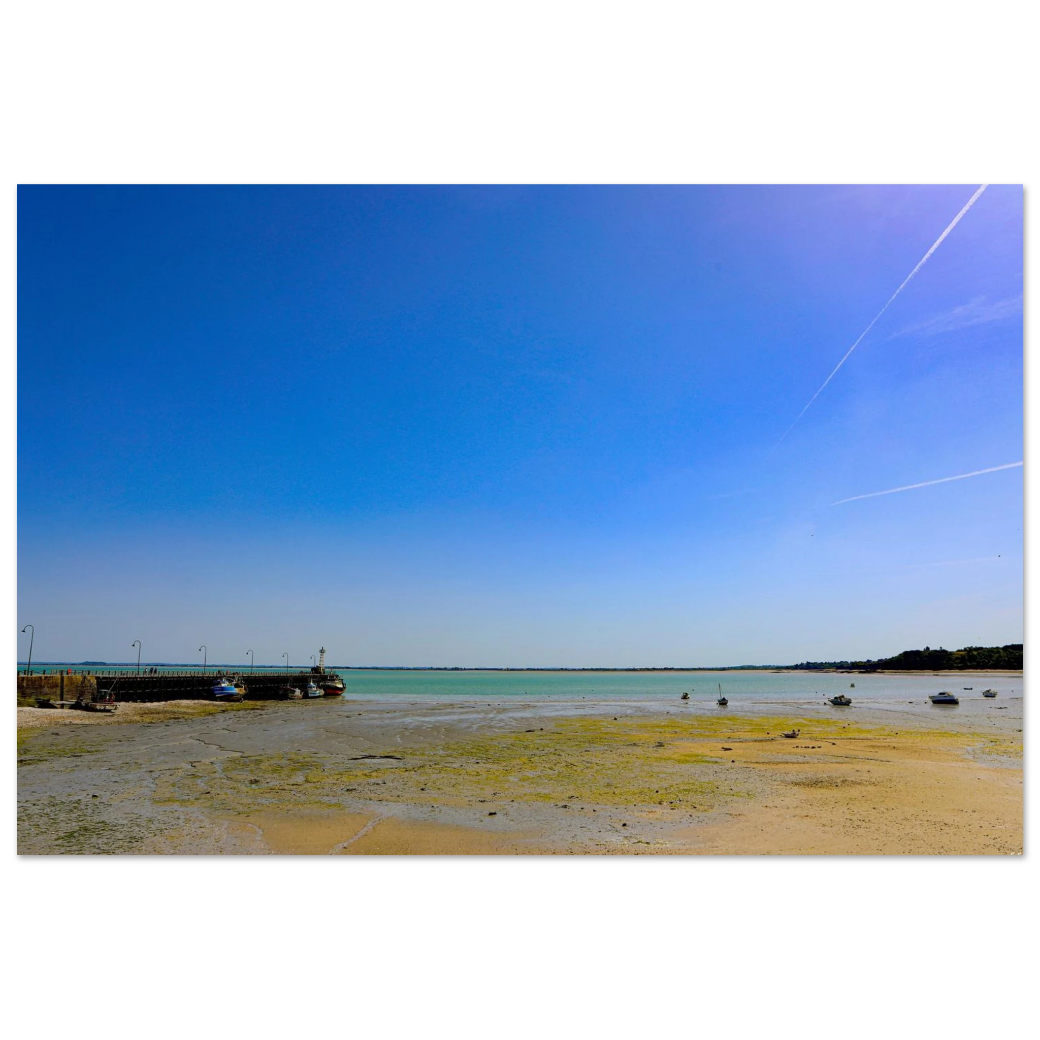 a3f3c4d2-54e3-43c7-bf70-2eaa5526e2de