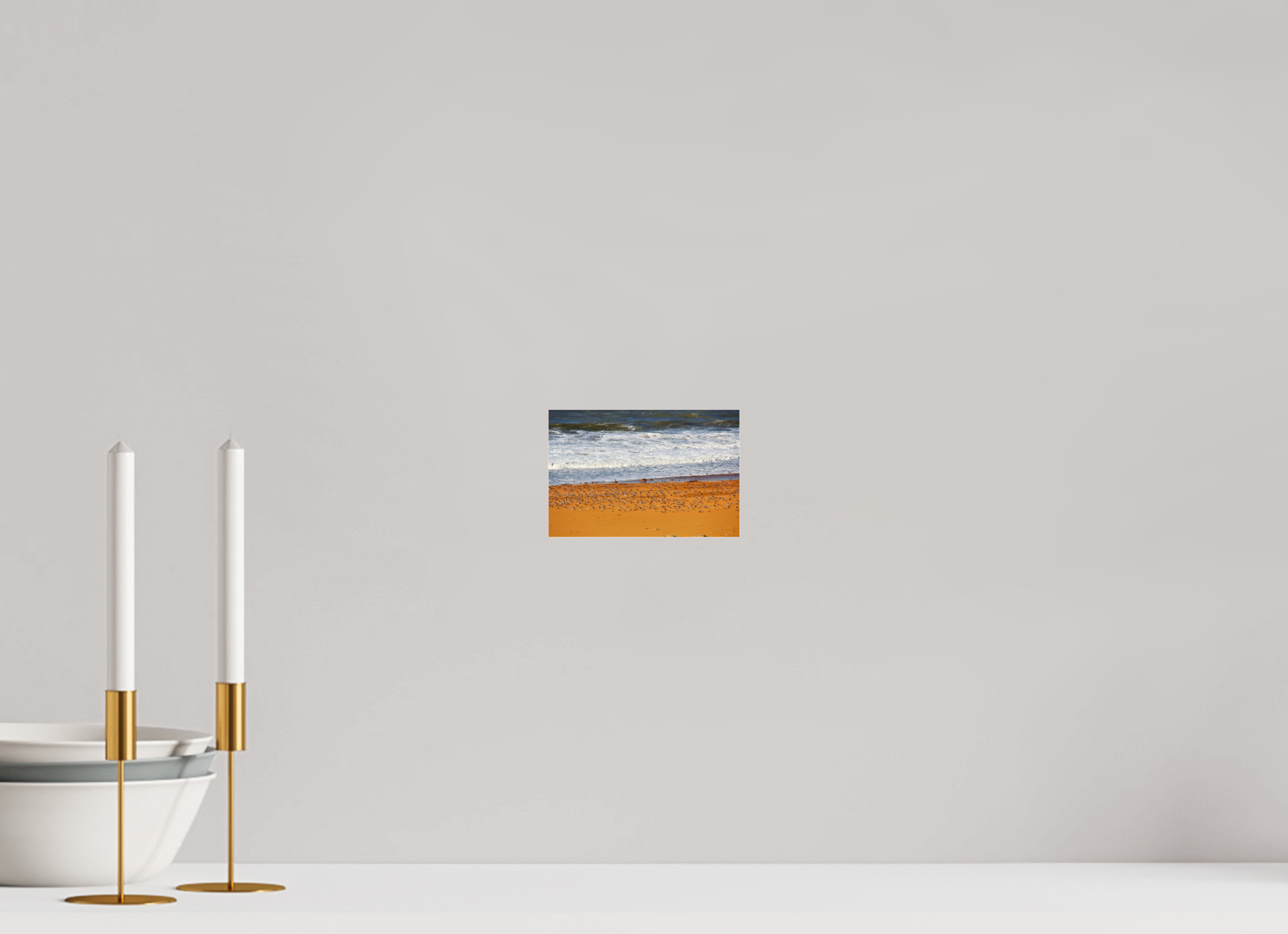 15 x 10 cm, Photo Print Under Acrylic Glass Chœur des Oiseaux de la Côte