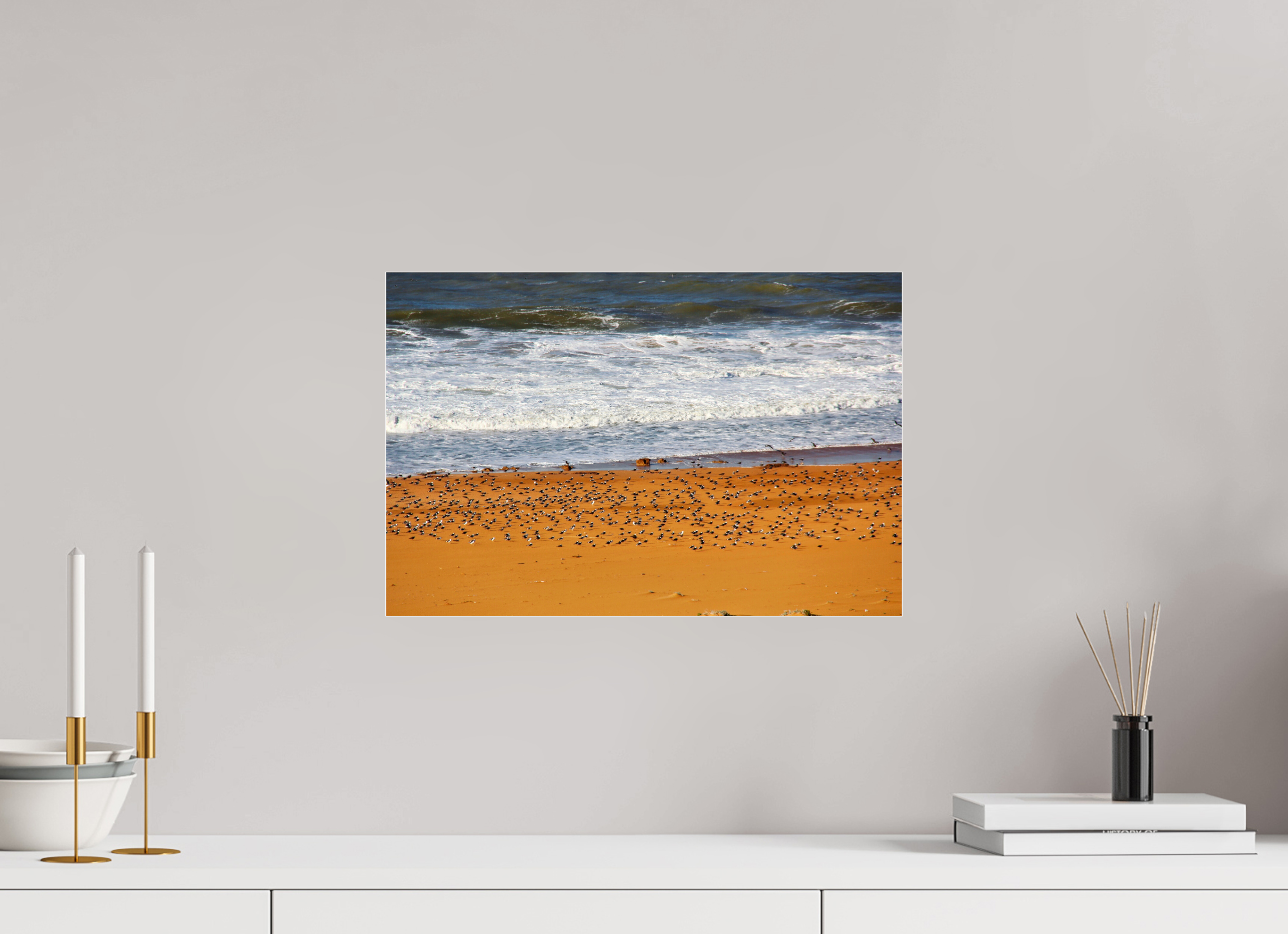 45 x 30 cm, Photo Print Under Acrylic Glass Chœur des Oiseaux de la Côte