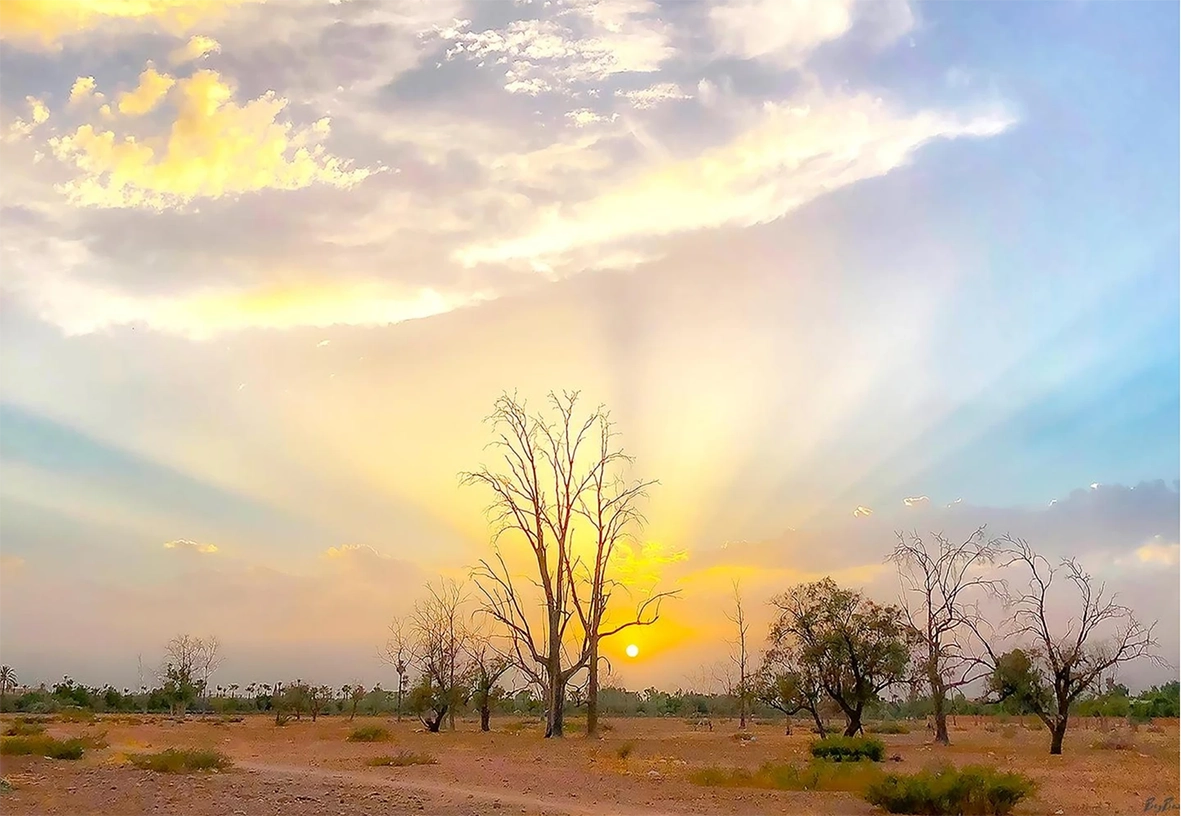 Coucher de soleil doré aux portes de Marrakech, arbres dénudés — Tirage Fine Art | Bybadr