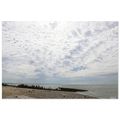 d0efbe41-f9e8-4ca1-b883-02837527c537