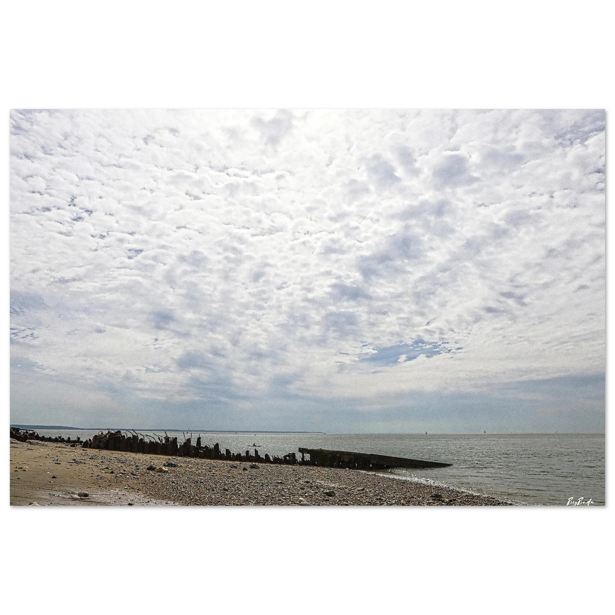 d0efbe41-f9e8-4ca1-b883-02837527c537