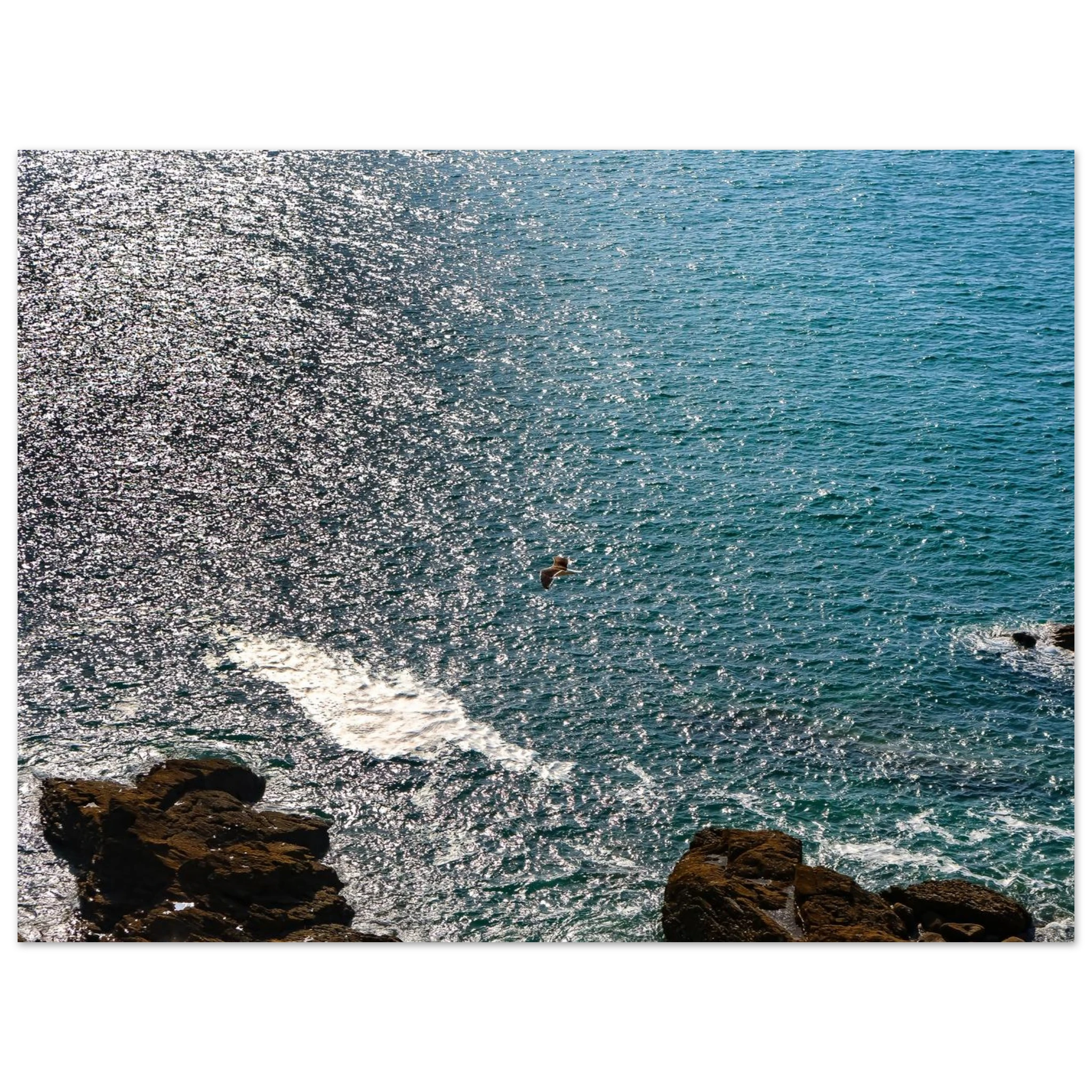 f695ee51-1a08-452d-91bb-30dfb1e74c0f