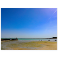fe610f69-0e61-43b7-a40b-8e0a3963c297