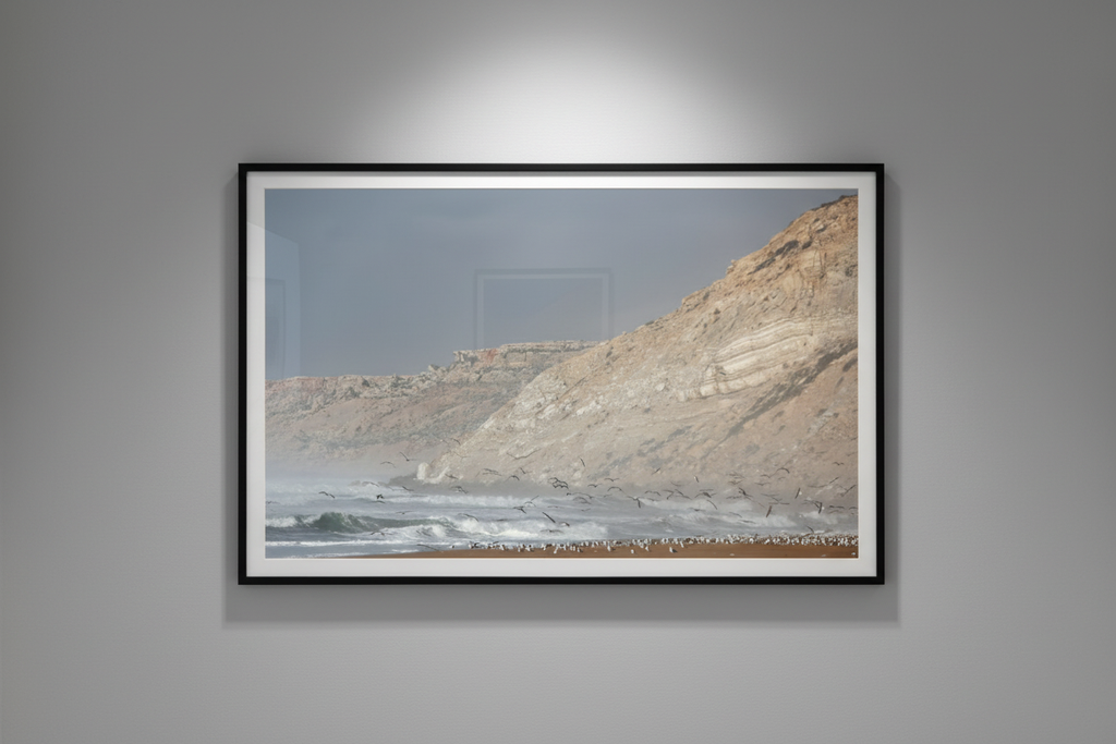 Échos de l'Océan — Mur gris style galerie